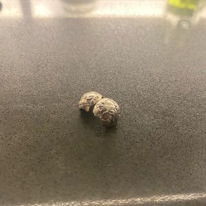 Pandora bracelet clip